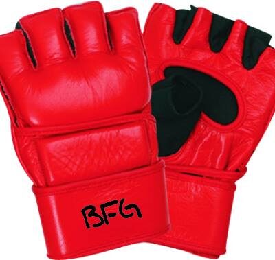 Kids MMA Gloves