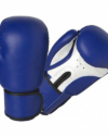 Kids Boxing Gloves Leather/PVC - 2